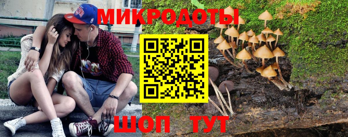 Псилоцибиновые грибы Magic Shrooms Новокубанск