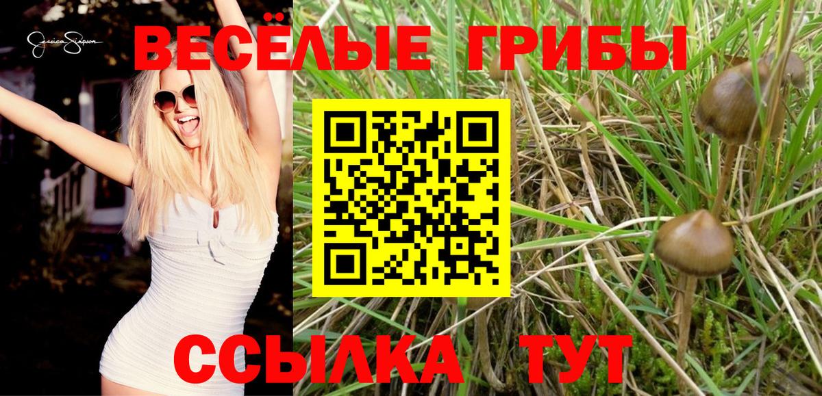 Галлюциногенные грибы ЛСД  Вход с VPN  Новокубанск 