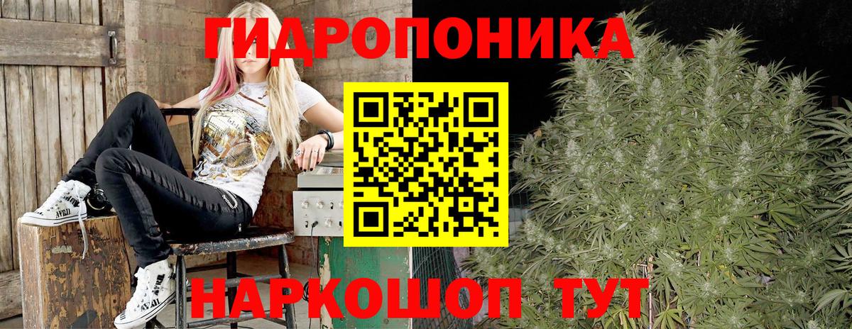 Конопля Amnesia Новокубанск